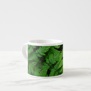 Tasse Expresso Fougère bracken avec gouttes de pluie, État de Was