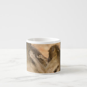 Tasse Expresso Grooming baboons