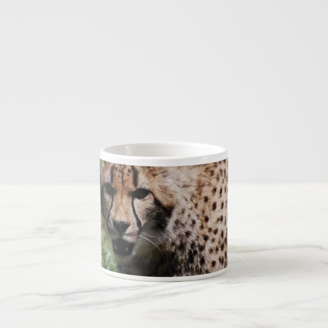 Tasse Expresso Guépard fâché (Devant)