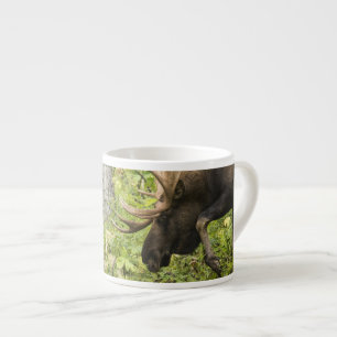 Tasse Expresso L'orignal