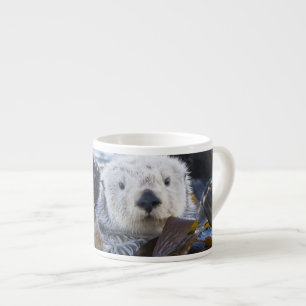 Tasse Expresso Loutre de mer enveloppée de kelp