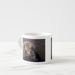 Tasse Expresso Loutres de mer, Enhydra lutris 6