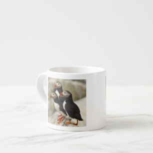 Tasse Expresso Macareux atlantiques sur l'île Machias Seal