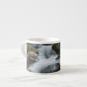 Tasse Expresso Nouveau-Brunswick, Canada. Chutes Dickson à Fundy