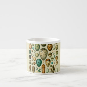 Tasse Expresso Œufs d'oiseaux vintage Art de frai de poisson fran