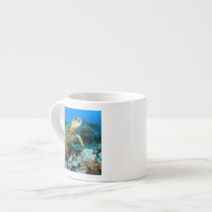 Tasse Expresso Paires de tortue