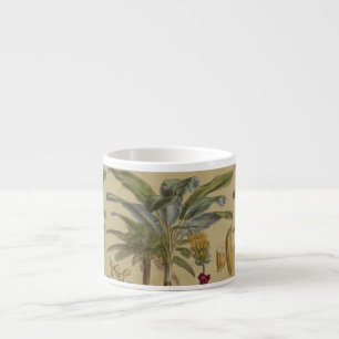 Tasse Expresso Palm Antique Fruit Tropical Art Botanique