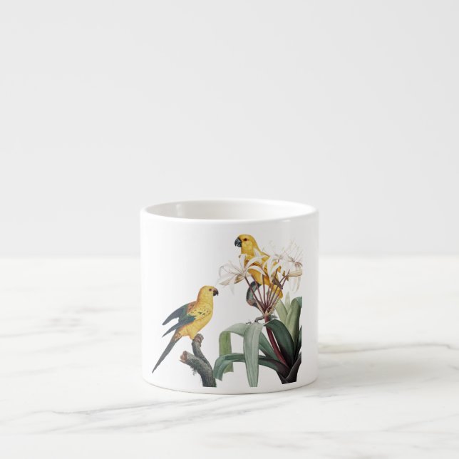 Tasse Expresso Parrot botanique classique (Devant)