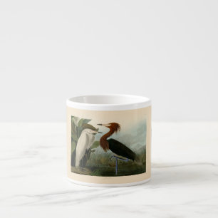 Tasse Expresso Peinture de la faune d'Audubon Heron violet