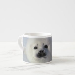 Tasse Expresso Phoque du Groenland Phoca groenlandica) Un phoque 