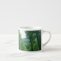 Photographie du paysage de la forêt verte
