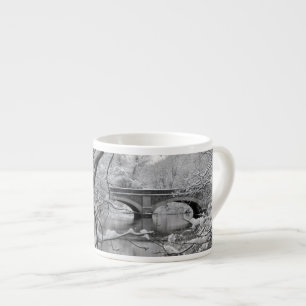 Tasse Expresso Pont de voûte au-dessus de rivière congelée en