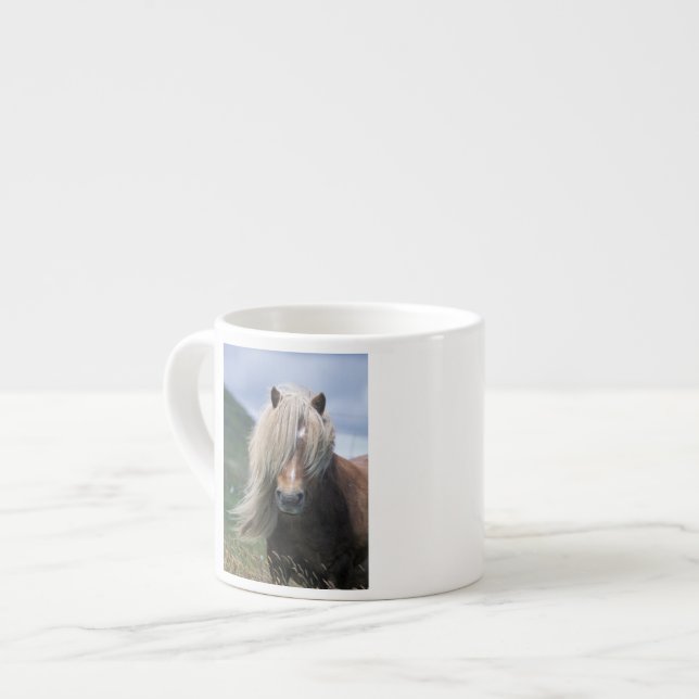 Tasse Expresso Royaume-Uni, Ecosse, Shetland Islands, Shetland po (Devant gauche)