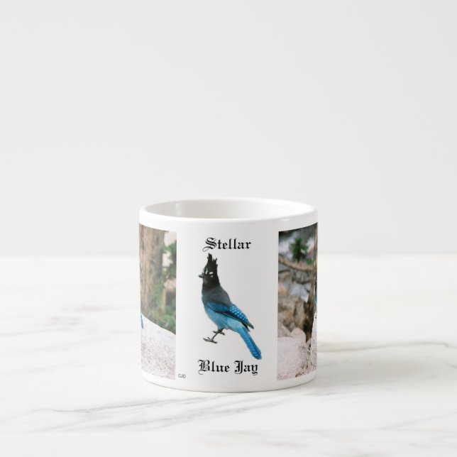 Tasse Expresso Stellar Blue Jay espresso mug (Devant)