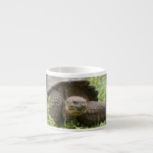 Tasse Expresso Tortue géante