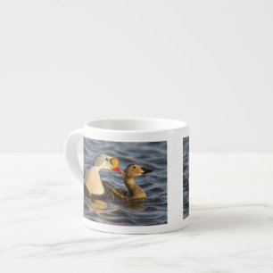 Tasse Expresso Un couple d'eiders à tête grise en parade dans un