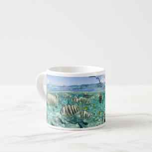 Tasse Expresso voyage safari dans la lagune avec des raies