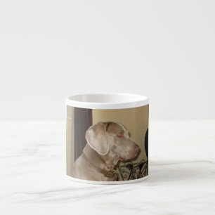 Tasse Expresso weimaraner.png