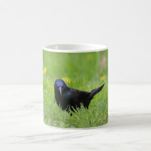Tasse fâchée d'oiseau