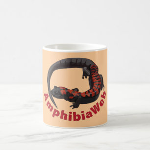 Tasse fausse de salamandre du ruisseau de Bell