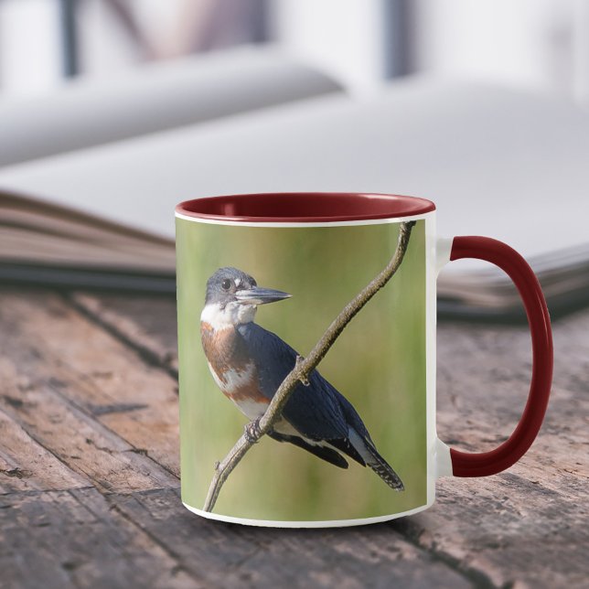 Tasse Femme Belted Kingfisher dehors sur un membre (Femaled Belted Kingfisher on a Branch 11 oz Coffee Mug Cover Photo.)