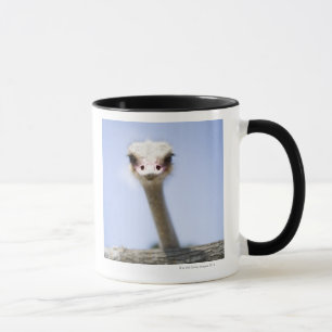 Tasse Fermez-vous vers le haut de la tête d'autruche
