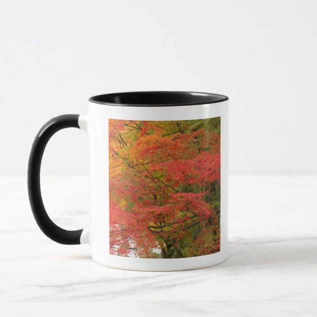 Tasse Feuillage d'automne japonais (Gauche)