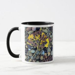 Tasse Feuille de peuplier de Fremont sur plaine inondabl