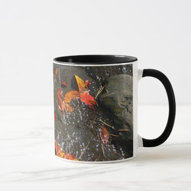 Tasse Feuilles d'automne dans la cascade I Photographie  (Droite)