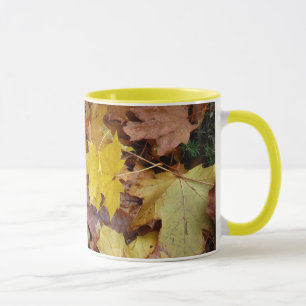 Tasse Feuilles de Érable Tombées Jaune Automne Nature