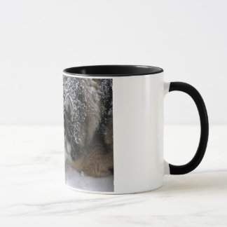 Tasse Fille de Willie