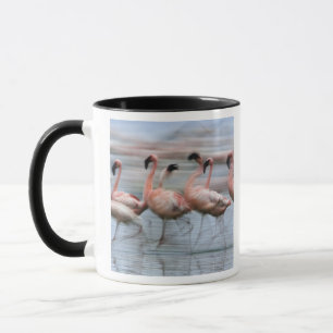 Tasse Flamants roses en mouvement, Phoenicopterus