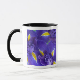 Tasse Fleurs d'Iris