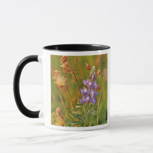 Tasse Fleurs sauvages de lupin et de prairie smoke dans