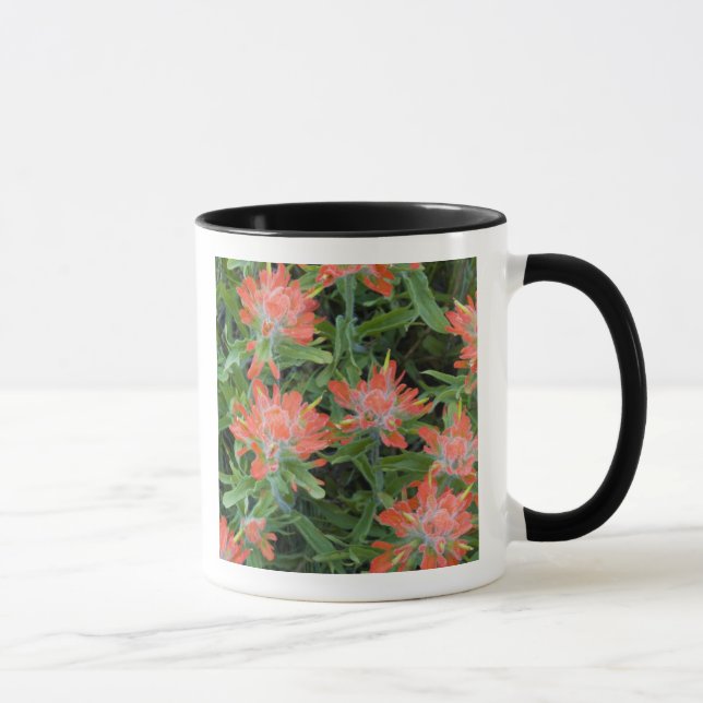 Tasse fleurs sauvages indiens en pinceau dans les nombre (Droite)