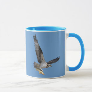 Tasse Flying Osprey & Fish Wildlife Photography