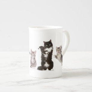 Tasse folle de chat