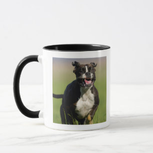 Tasse Fonctionnement de chien