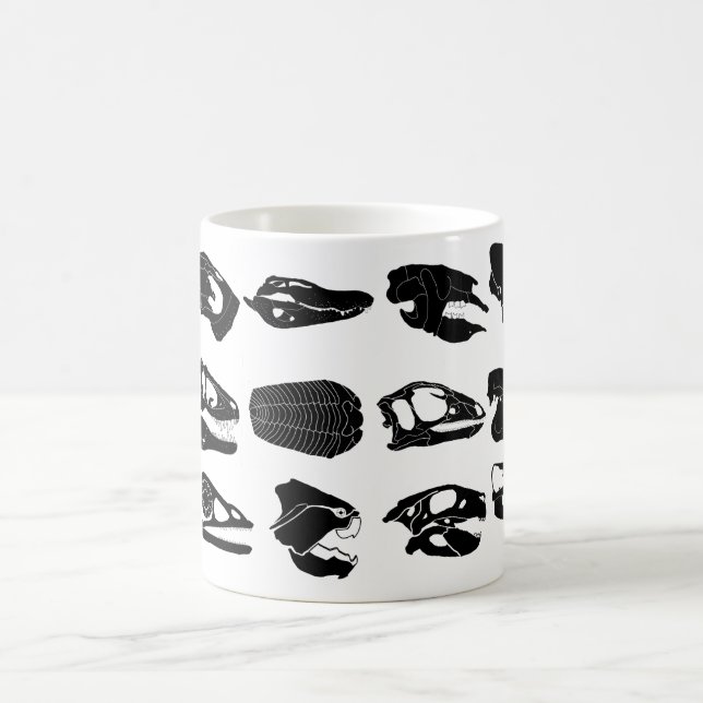 Tasse fossile de crânes (Centre)