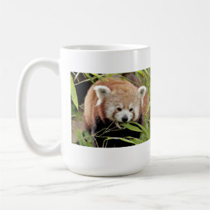 Tasse Foto roter Panda. Panda roux Tiere.