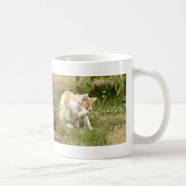 Tasse. Foto Straßenkatze, Katze.  Tasse (Rechts)