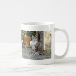 Tasse. Foto Straßenkatze, Katze, Tasse Kaffee