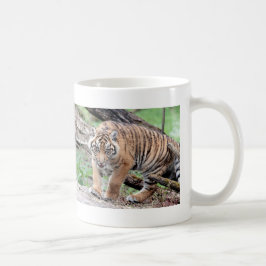 Tasse. Foto Tiger, Katze. Kaffeetasse