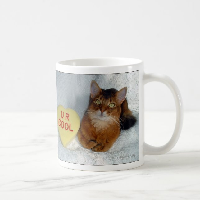 Tasse fraîche somalienne du chat U R de (Droite)