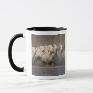 Tasse France, Provence. Chevaux blancs de Camargue en li