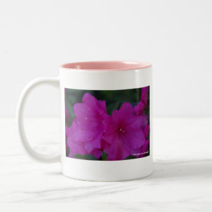 Tasse fuchsia d'azalées