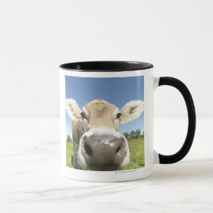 Tasse Fuessen, Bavière, Allemagne
