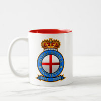 Tasse für die Royal Sussex Society 20 Jahre alt