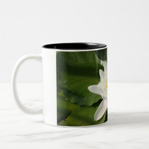 Tasse für Weißblütenfotografie