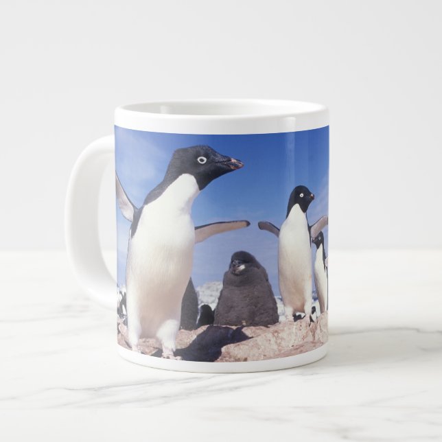 Tasse Géante Antarctique, Adelie Penguin Pygoscelis (Devant gauche)